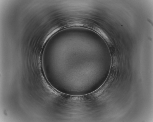 X0000098160806200804171557
