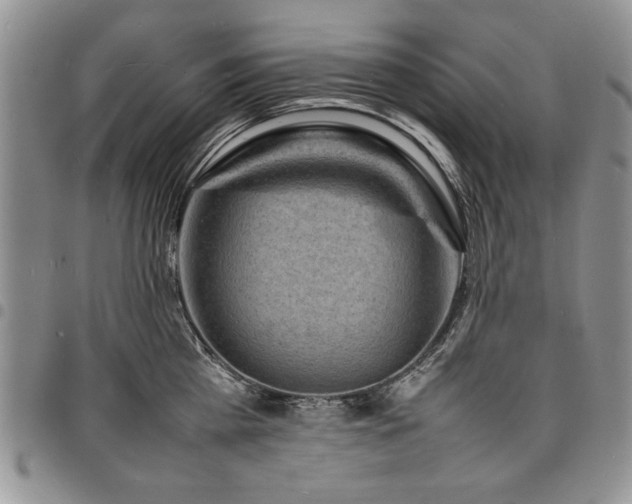 X0000098160809200804171557