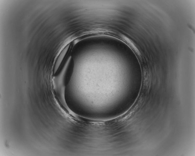 X0000098160810200804171557