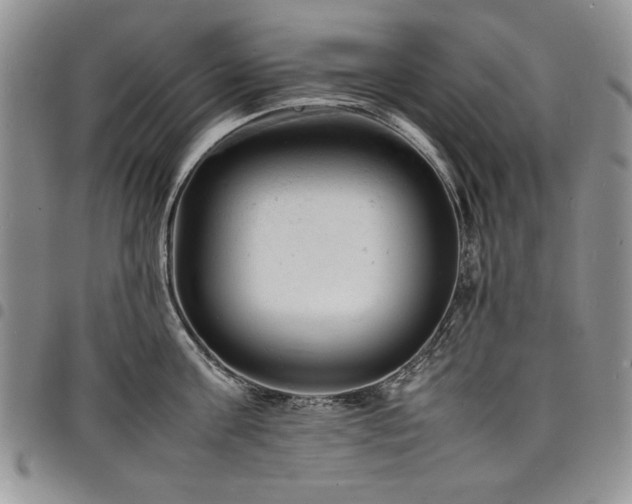 X0000098160811200804171557