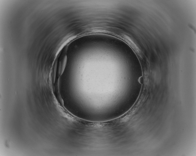 X0000098160814200804171557
