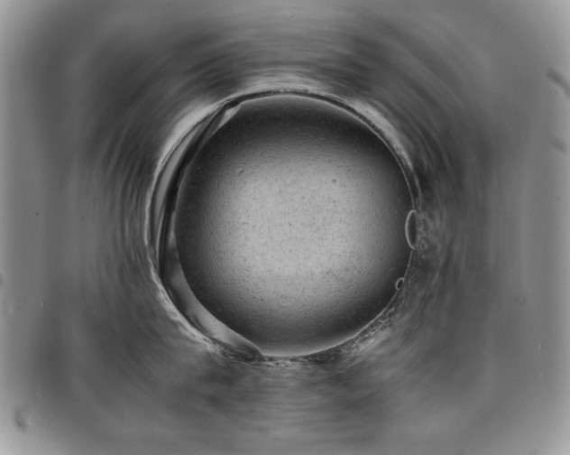 X0000098160815200804171557