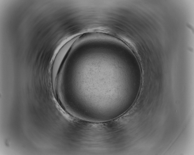 X0000098160816200804171557
