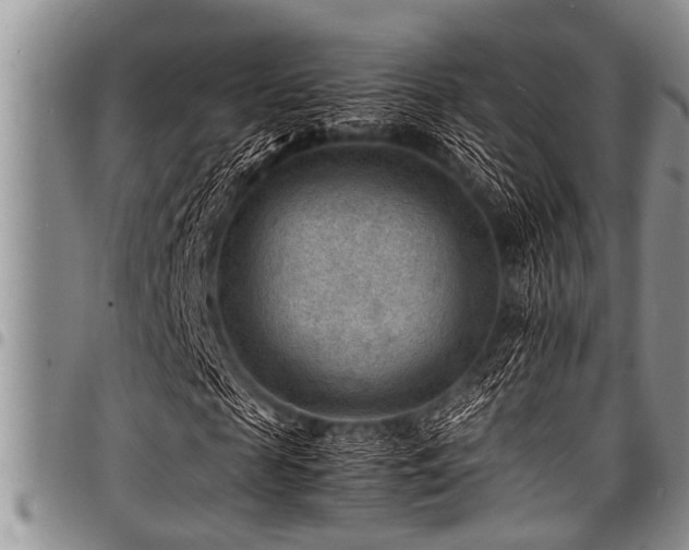 X0000098160817200804171556