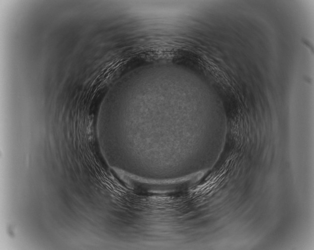 X0000098160818200804171556