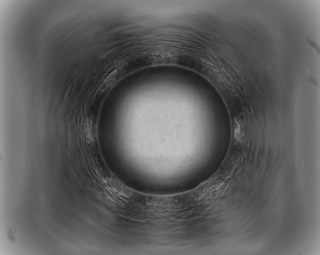 X0000098160819200804171556