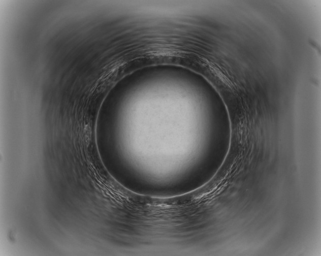 X0000098160821200804171556