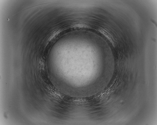 X0000098160823200804171556