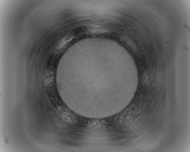 X0000098160824200804171556