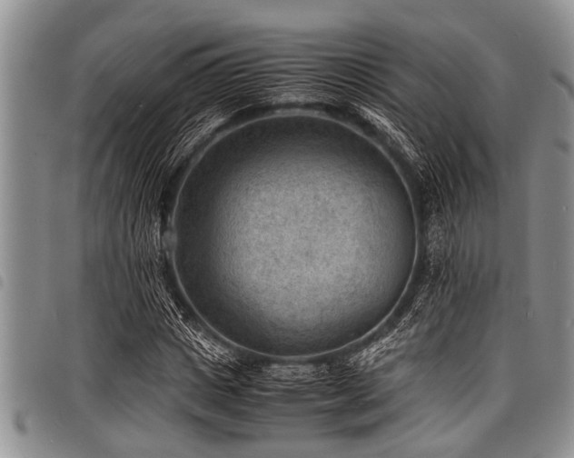 X0000098160825200804171556