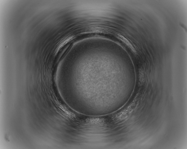 X0000098160826200804171556