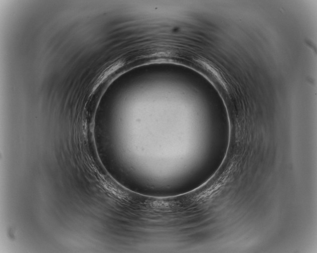 X0000098160827200804171556