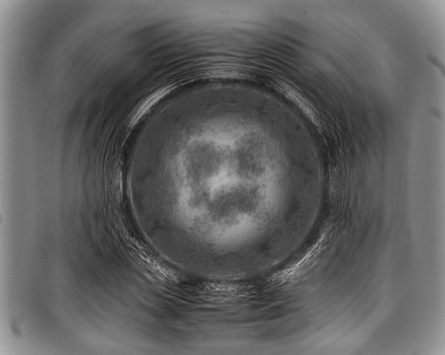 X0000098160829200804171557