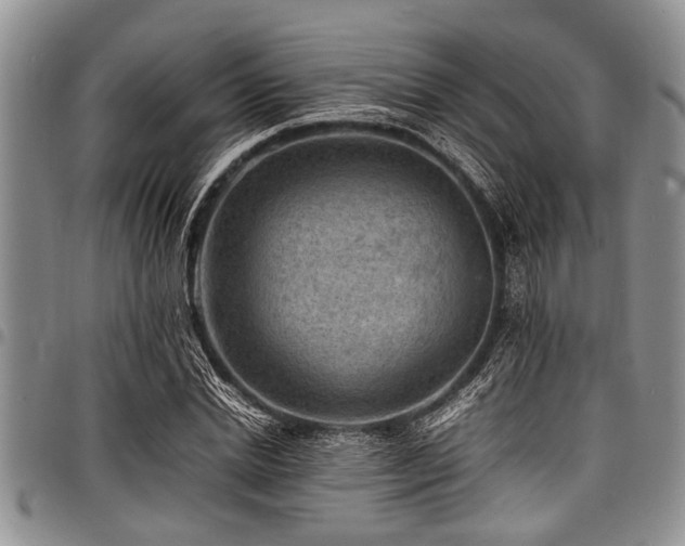 X0000098160830200804171557