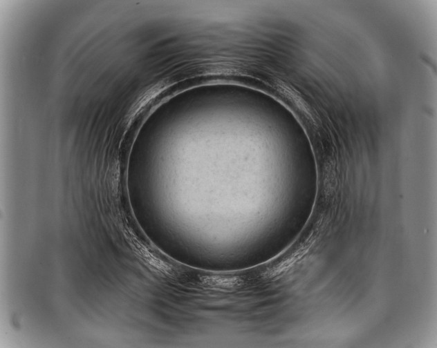 X0000098160831200804171557
