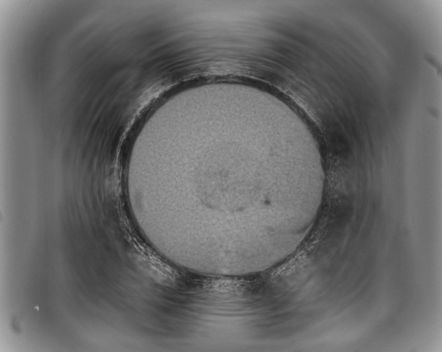 X0000098160832200804171557