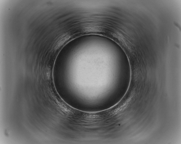 X0000098160833200804171557
