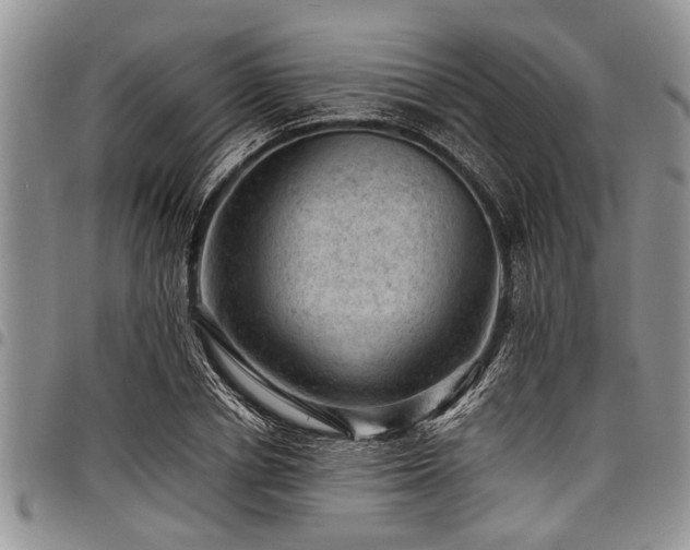 X0000098160834200804171557