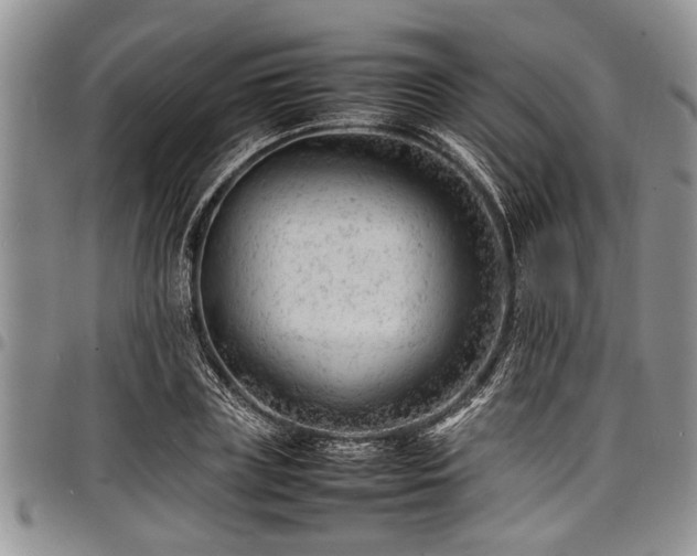 X0000098160835200804171557