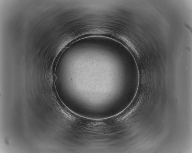 X0000098160837200804171557