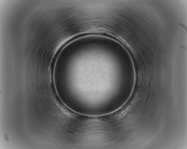 X0000098160838200804171557