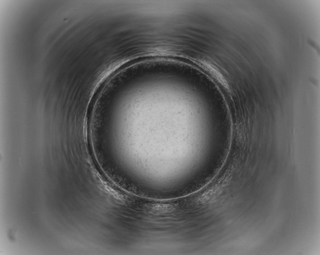 X0000098160839200804171557