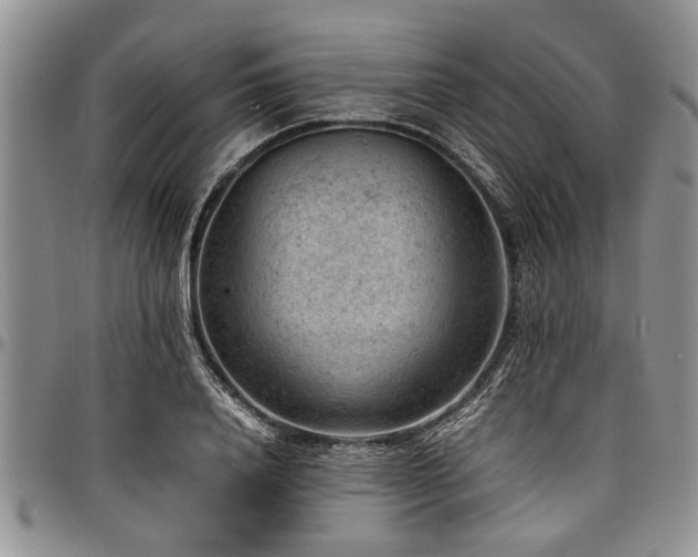 X0000098160840200804171557