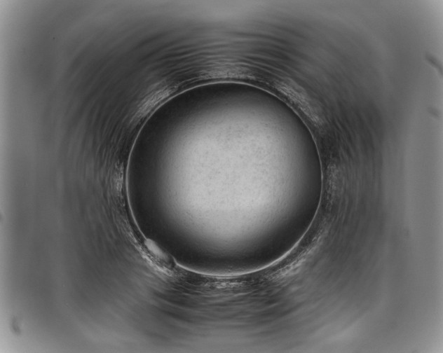 X0000098160841200804171557