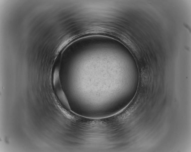 X0000098160842200804171557