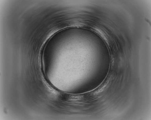X0000098160843200804171557