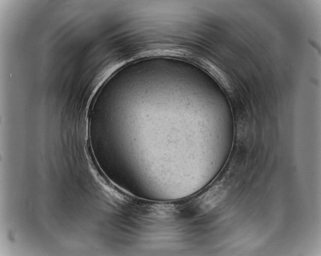 X0000098160844200804171557