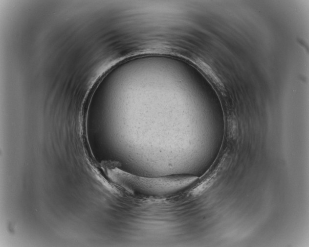 X0000098160846200804171557