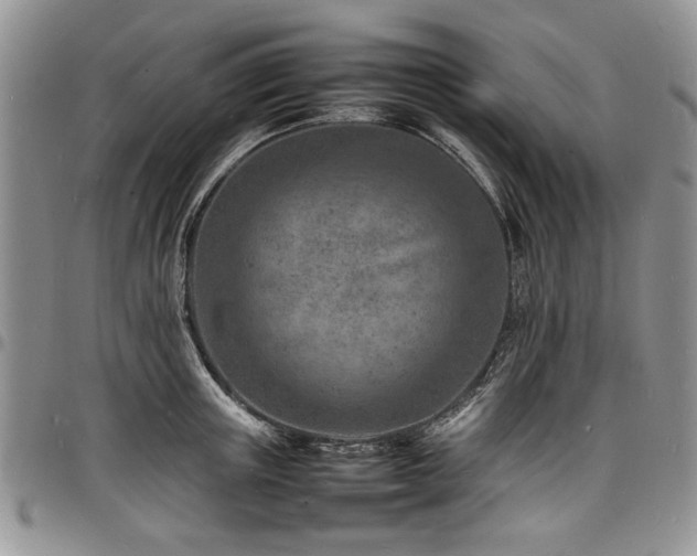 X0000098160851200804171557