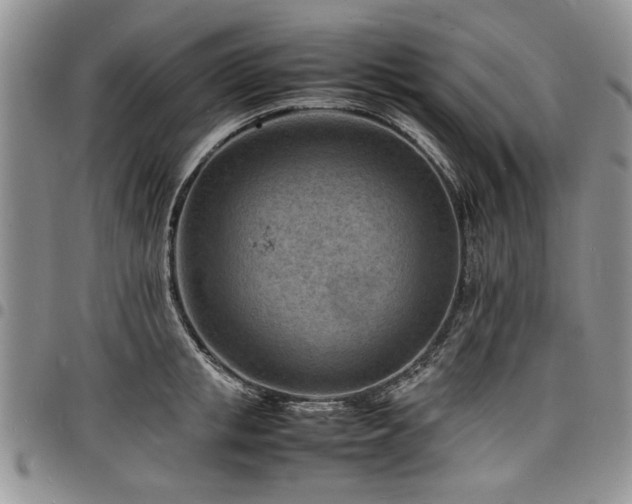 X0000098160853200804171557