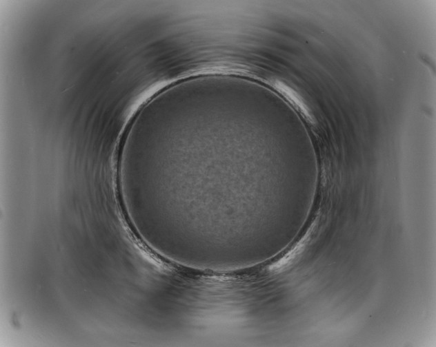 X0000098160854200804171557