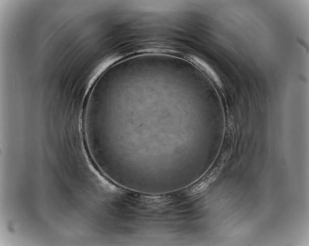 X0000098160855200804171557