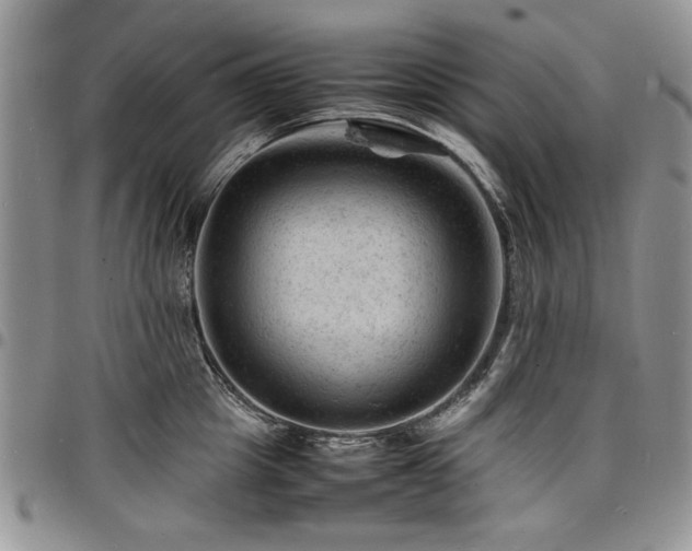 X0000098160857200804171557