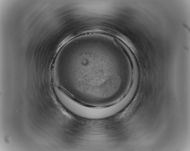 X0000098160858200804171557