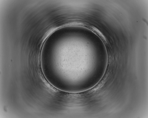 X0000098160860200804171557