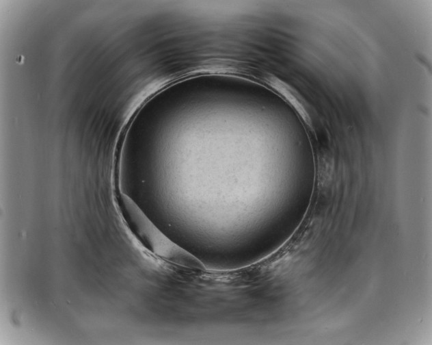 X0000098160861200804171557