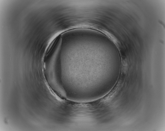 X0000098160862200804171557