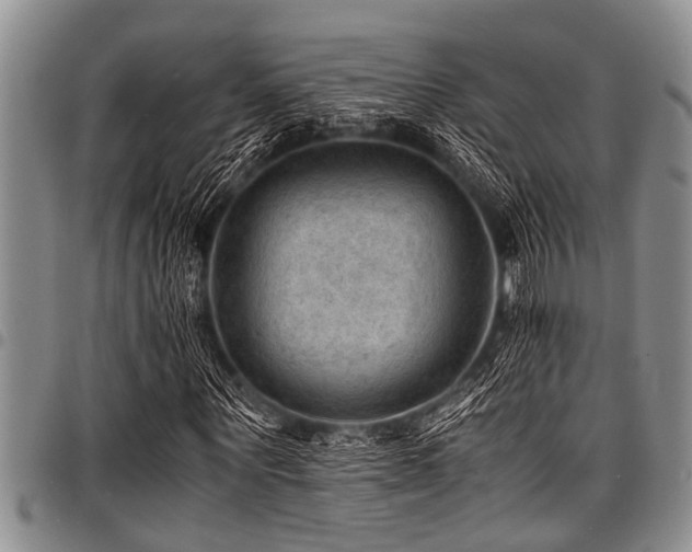 X0000098160867200804171556