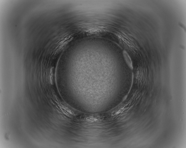 X0000098160868200804171556