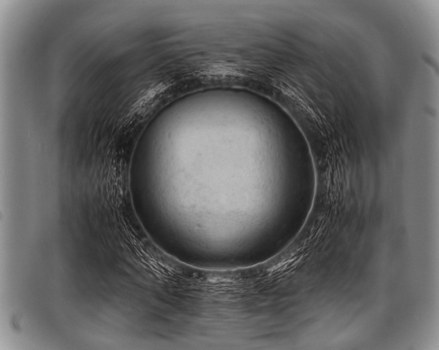 X0000098160870200804171556