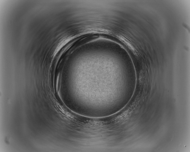 X0000098160877200804171556