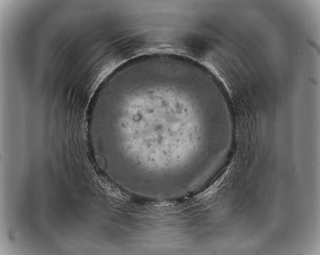 X0000098160879200804171556