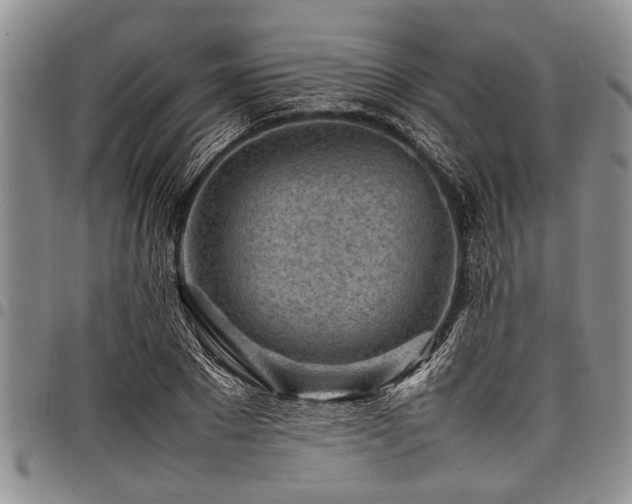 X0000098160881200804171556