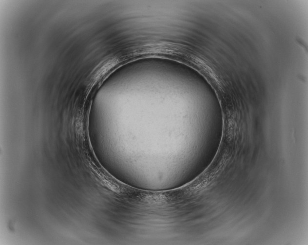 X0000098160882200804171556