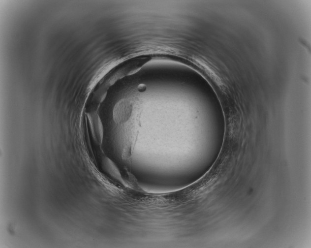 X0000098160885200804171556
