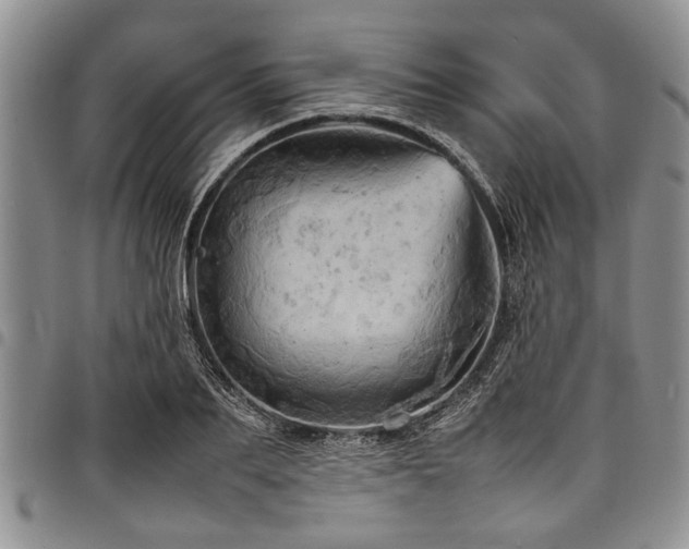 X0000098160887200804171556